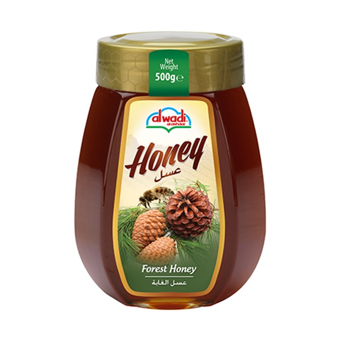 Alwadi Alakhdar Forest Honey 500g