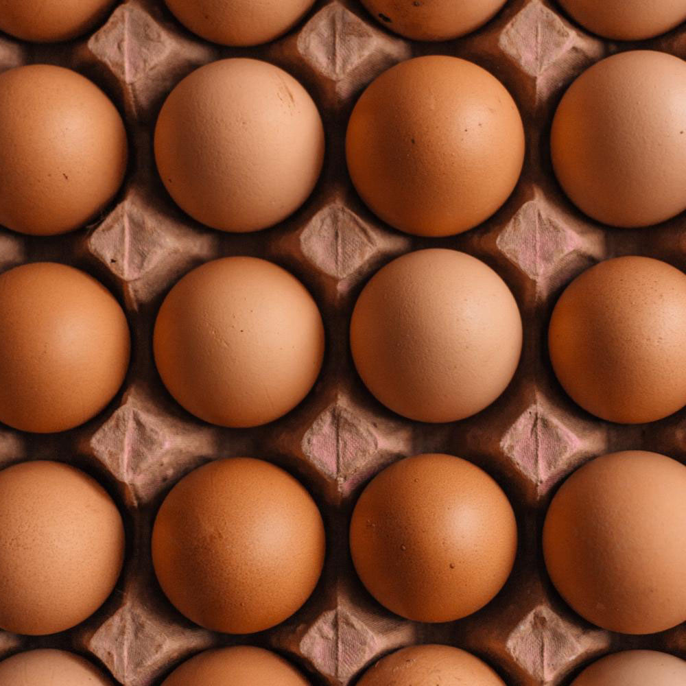 Baladi Eggs *30