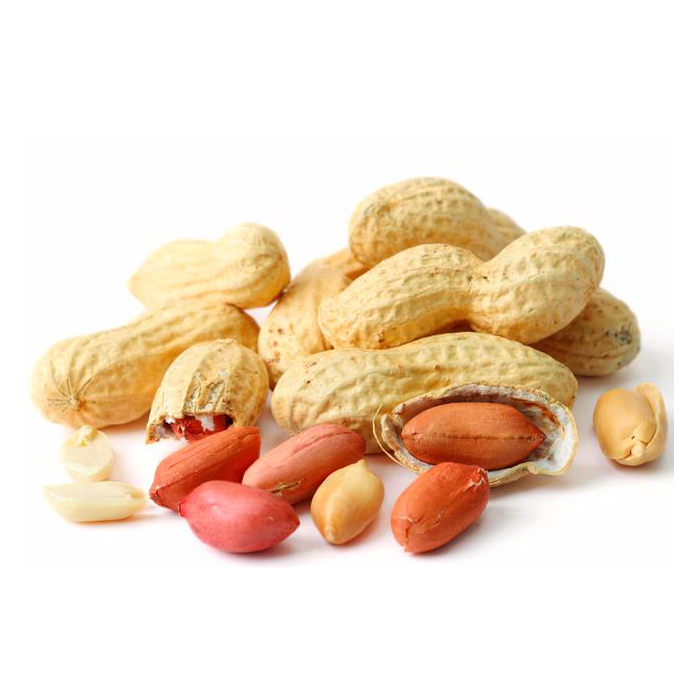 Peanuts in Shell